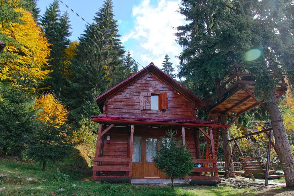 Mountain Apartments Superski Cavnic Bilik gambar